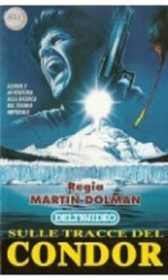 After the Condor (1991)