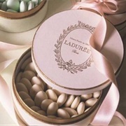 Laduree Dagrees