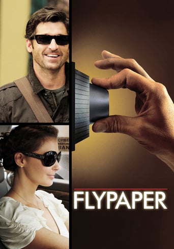 Flypaper (2011)