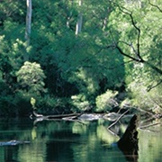 Pemberton, Australia