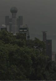 Black Rain White Scars (2014)