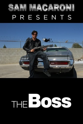 The Boss (2011)
