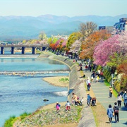 Kamo River
