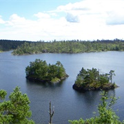 Tyresta National Park