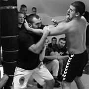 Eclectic Fighting System