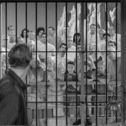 People Are Alike All Over