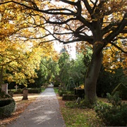 Assistens Cemetery