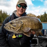 Hook a Smallmouth Bass (MB)