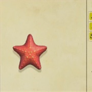 Sea Star