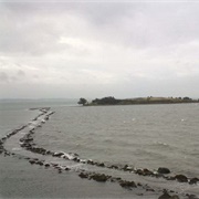 Rough Island