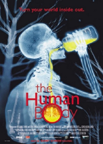 The Human Body (2001)