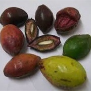 Indian Almond