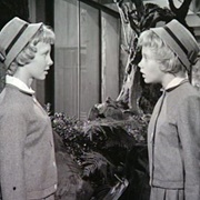 Sarah and Susan-The Parent Trap