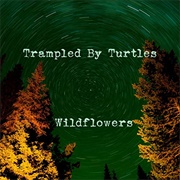Wildflowers-Trampled by Turtles