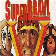 WCW Superbrawl V (1995)