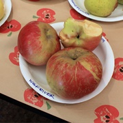 Wolf River Apples