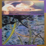 En El Cielo De Oceano – Silvania (1994)