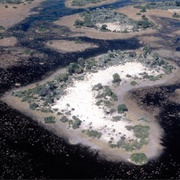 Heart-Shaped Island, Okavango Delta, Botswana