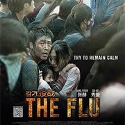The Flu
