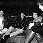 The Deep Freeze Mice