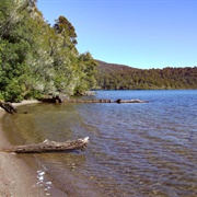 Lake Rotopounamu Walk, Turangi