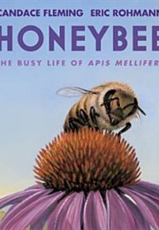 Honeybee (Candace Fleming)