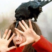 Vicious Raven (The Omen II)