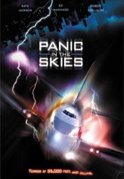 Panic in the Skies (1996)