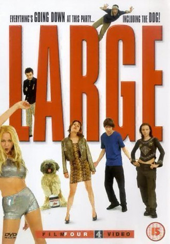 Large (2001)