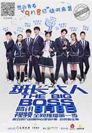 The Big Boss (2017)