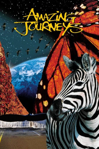 Amazing Journeys (1999)