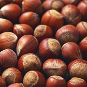 Filbert  (Corylus Maxima)