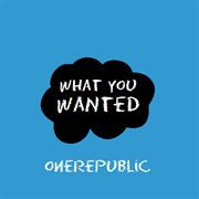 What You Wanted One Republic