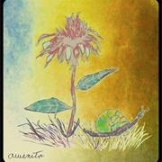 Still Life Meagan Scribner