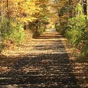 Ashuwillticook Rail Trail