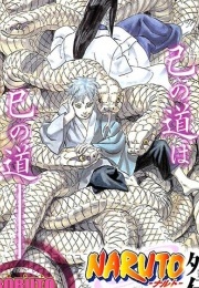 Naruto Gaiden: Michita Tsuki Ga Terasu Michi (Kishimoto, Masashi (Story & Art))