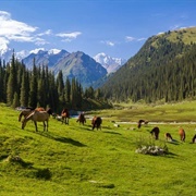 Fergana Valley, Uzbekistan
