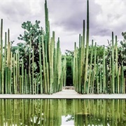 Ethnobotanical Garden, Oaxaca, Mexico