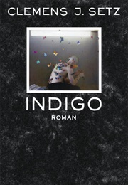 Indigo (Clemens J. Setz)
