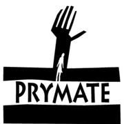 Prymate