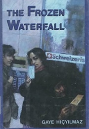 The Frozen Waterfall (Gaye Hicyilmaz)