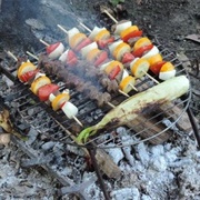 Shish Kabobs
