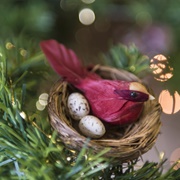 Bird Nest Ornament