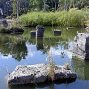 Jardin Botanico Nacional Dr. Rafael Ma Moscosoe