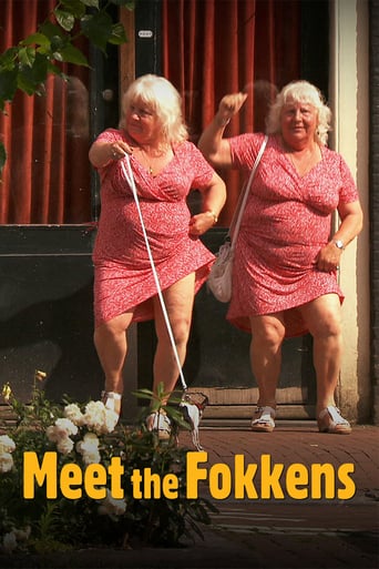 Meet the Fokkens (2012)