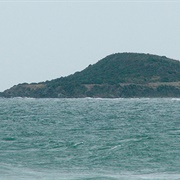 Moturata/ Taieri Island