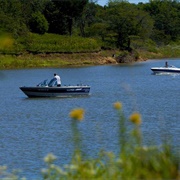 Honey State Park and Resort