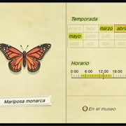 Monarch Butterfly