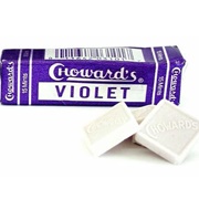 Choward's Violet