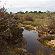Parque Natural De Cornalvo